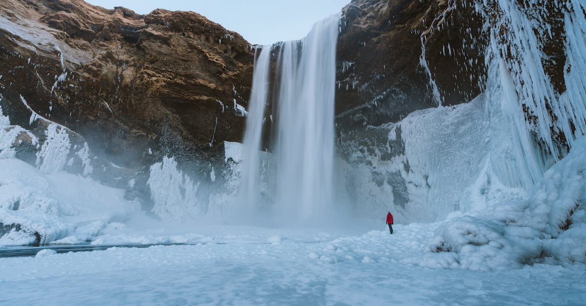 découvrez le monde fascinant de l'arctique, une région majestueuse où la nature sauvage rencontre une biodiversité unique. explorez les glaciers, la faune emblématique et les cultures des peuples nordiques dans cet environnement extrême, tout en apprenant les enjeux liés au changement climatique et à la préservation de cet écosystème fragile.