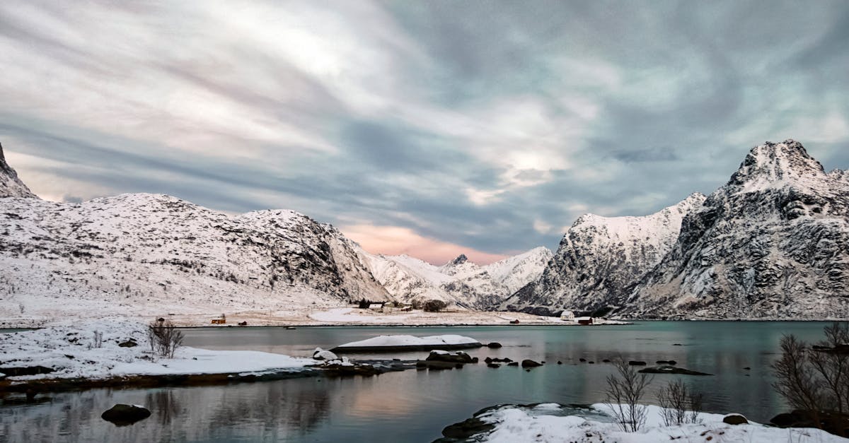 découvrez l'univers fascinant de l'arctique avec ses paysages glacés, sa faune unique et ses cultures autochtones. explorez la beauté sauvage et les enjeux environnementaux de cette région mystérieuse et essentielle à la planète.