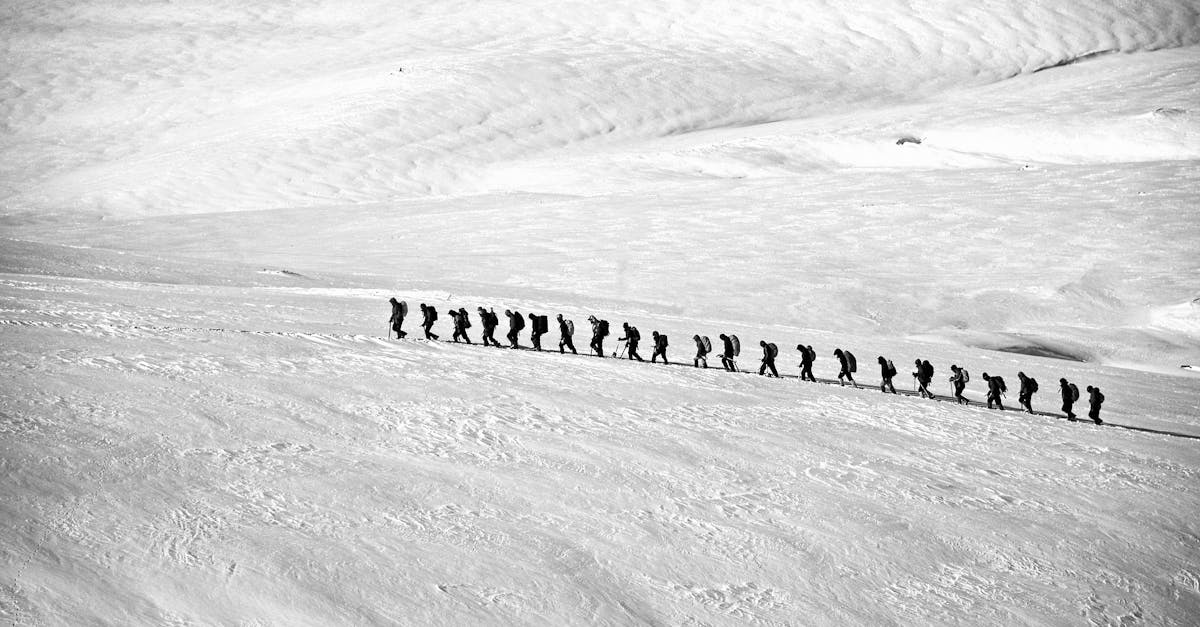 découvrez les défis uniques auxquels font face les communautés arctiques, entre changement climatique, préservation des cultures traditionnelles et enjeux économiques.