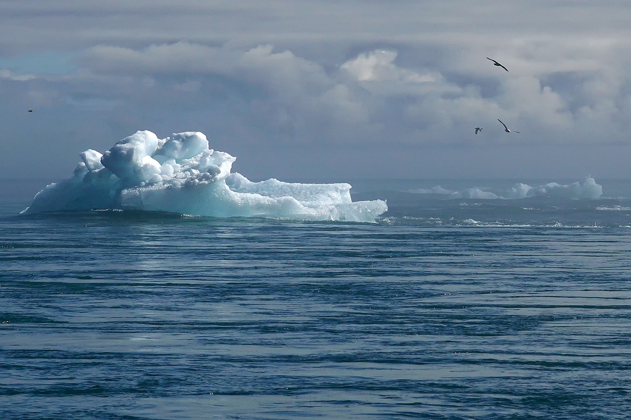 découvrez les impacts du changement climatique sur notre planète, explorez les causes et les solutions possibles pour préserver l'environnement et favoriser un avenir durable.