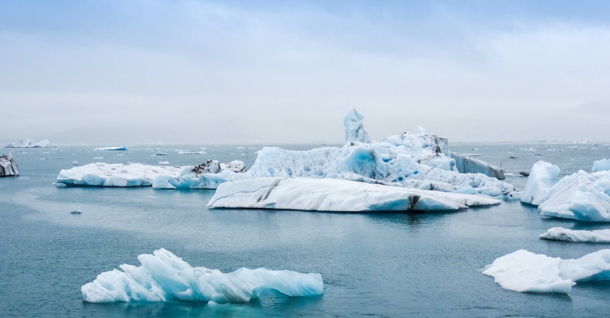 découvrez comment le changement climatique affecte notre planète, les conséquences sur l'environnement, la biodiversité et les actions à entreprendre pour réduire son impact. informez-vous sur les solutions durables pour un avenir meilleur.