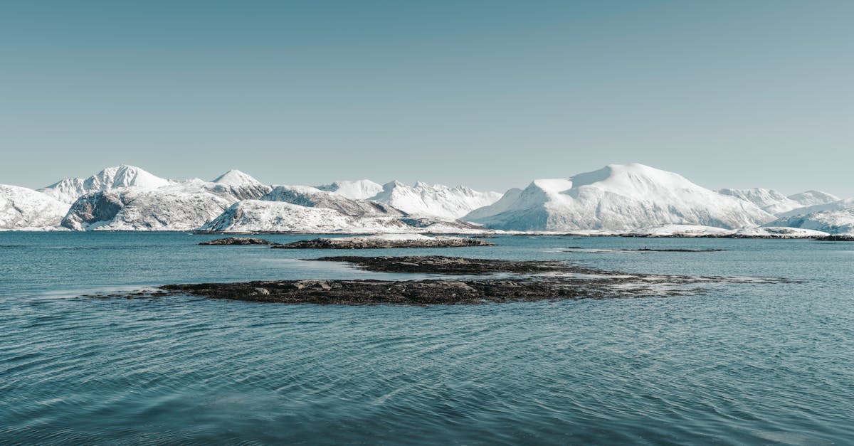 découvrez comment l'arctique façonne notre avenir, avec des analyses des défis environnementaux, des impacts du changement climatique et des perspectives pour une coexistence durable dans cette région fragile.