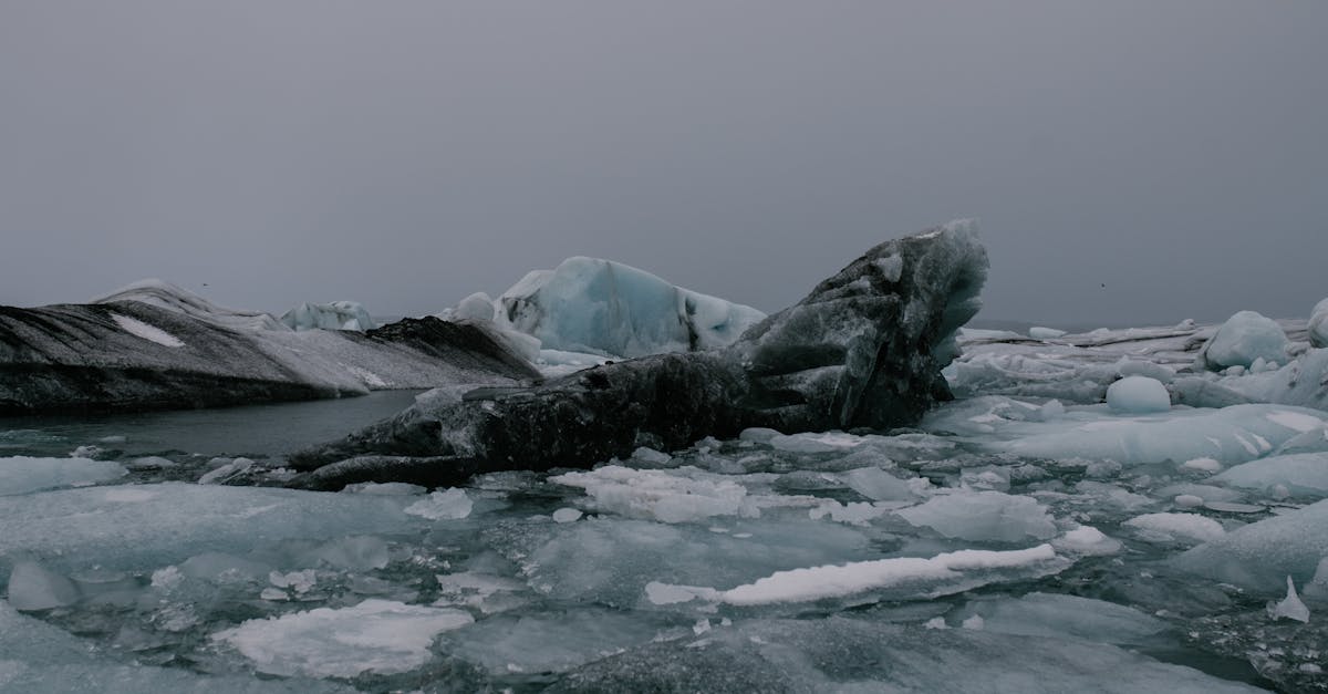 découvrez la majesté des glaciers arctiques, témoins du changement climatique et des merveilles de la nature. explorez leur rôle crucial dans l'écosystème et les défis auxquels ils font face. partez à la rencontre de ces géants de glace et comprenez l'importance de leur préservation.