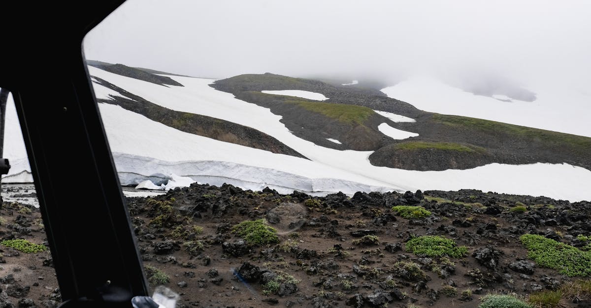 découvrez l'importance de la conservation de l'arctique et son impact sur l'écosystème mondial. explorez les défis environnementaux, les espèces menacées et les initiatives pour protéger cette région unique et fragile.