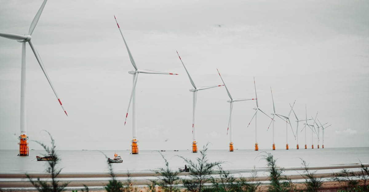 découvrez les enjeux environnementaux et les perspectives d'avenir de l'arctique face au changement climatique. explorez les impacts sur la biodiversité, les populations indigènes et les politiques internationales qui façonneront l'avenir de cette région unique.