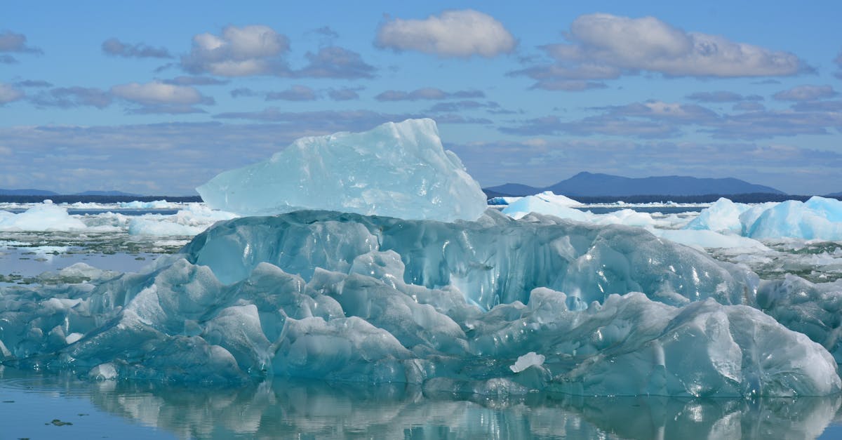 découvrez la majesté des glaciers arctiques, ce trésor naturel aux paysages époustouflants. explorez leur importance pour l'écosystème terrestre, les enjeux climatiques et la biodiversité unique qu'ils abritent. plongez au cœur des merveilles glacées de l'arctique.