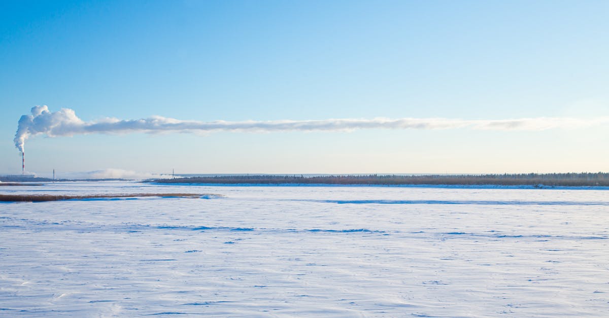 découvrez l'impact inquiétant de la pollution sur les écosystèmes arctiques. cet article explore les causes, les conséquences et les solutions possibles pour préserver cette région fragile face aux menaces environnementales croissantes.