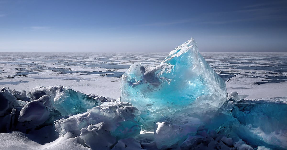 découvrez l'impact du changement climatique sur notre planète. informez-vous sur les causes, les conséquences et les solutions pour lutter contre ce phénomène urgent qui affecte l'environnement, la biodiversité et la vie quotidienne. rejoignez la lutte pour un avenir durable.