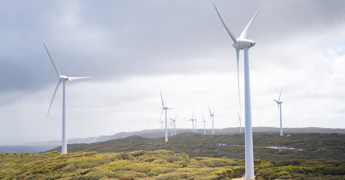 découvrez les avantages de l'énergie renouvelable, une solution durable pour l'avenir. apprenez comment elle contribue à la protection de l'environnement, à la réduction des émissions de carbone et à la création d'un système énergétique plus responsable.