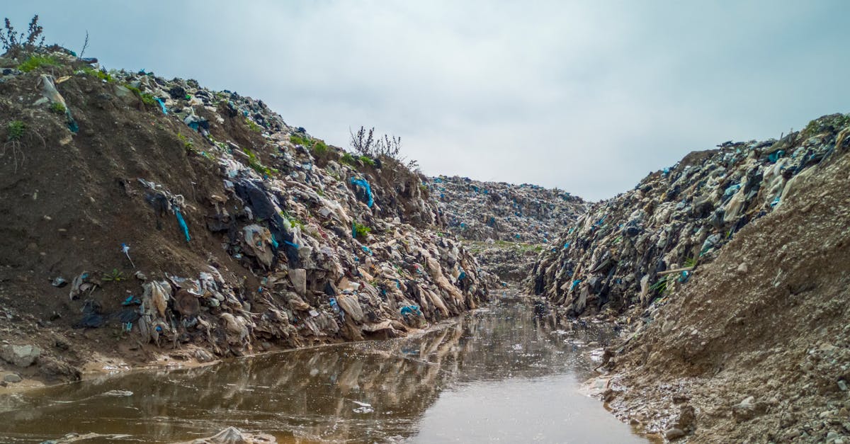 découvrez des solutions durables innovantes qui protègent notre planète tout en améliorant votre qualité de vie. engagez-vous dès maintenant pour un avenir écologique et responsable.