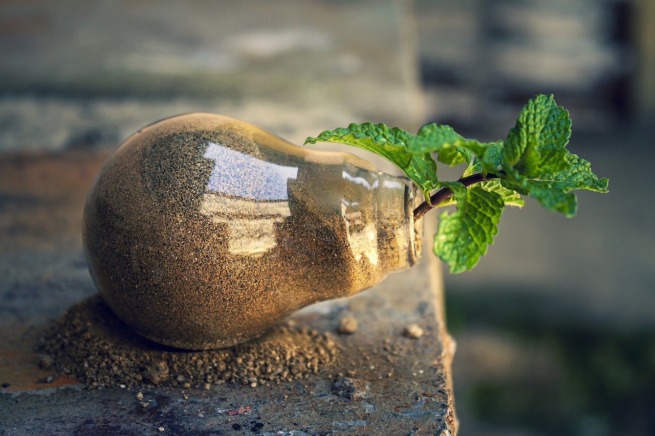 découvrez comment la protection de l'environnement est essentielle pour préserver notre planète. apprenez des stratégies, des initiatives et des actions individuelles pour lutter contre le changement climatique et promouvoir la durabilité.