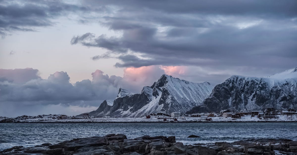 découvrez l'univers fascinant de l'arctique, une région où la beauté sauvage rencontre une biodiversité unique. explorez les paysages glacés, la faune emblématique et les enjeux environnementaux qui menacent cet écosystème fragile.