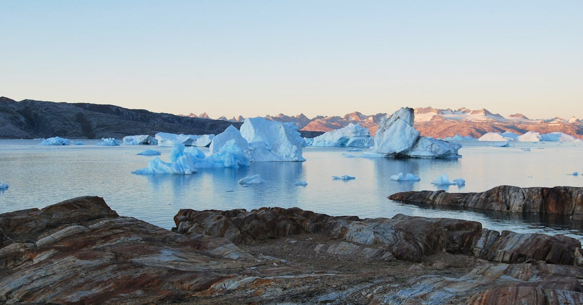 découvrez l'univers fascinant de l'arctique, un monde de paysages glacés, de faune unique et de cultures vibrantes. plongez dans les mystères de cette région extrême, où la beauté naturelle époustouflante rencontre les enjeux environnementaux modernes.