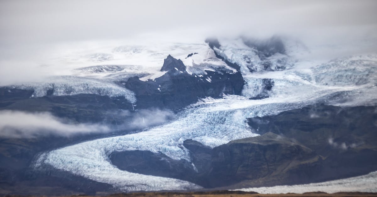 découvrez les conditions climatiques extrêmes de l'arctique, un monde où les températures glaciales et les tempêtes de neige façonnent des paysages fascinants et des écosystèmes uniques. plongez dans l'univers des défis que la vie sauvage et les communautés humaines doivent relever face à ces conditions rigoureuses.