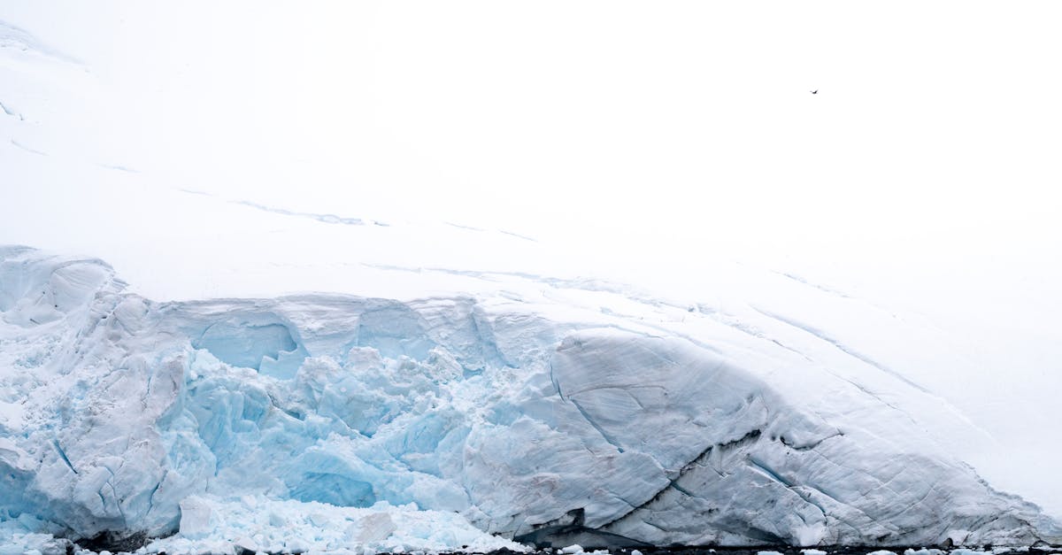 découvrez des stratégies efficaces pour la préservation de l'arctique, un écosystème unique menacé par le changement climatique. apprenez comment protéger cette région fragile et soutenir les initiatives locales pour préserver sa biodiversité.