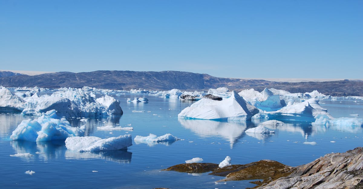 découvrez l'univers fascinant de l'arctique, un monde de glace et de beauté sauvage où la faune exceptionnelle et les paysages spectaculaires se rencontrent. plongez dans les défis environnementaux, la culture des peuples autochtones et l'importance de la préservation de cet écosystème unique.