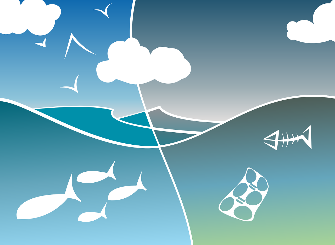 découvrez le biomasse, une source d'énergie renouvelable qui utilise les résidus organiques pour produire de l'électricité et de la chaleur. apprenez comment cette ressource durable contribue à la réduction des émissions de carbone et à la transition énergétique.