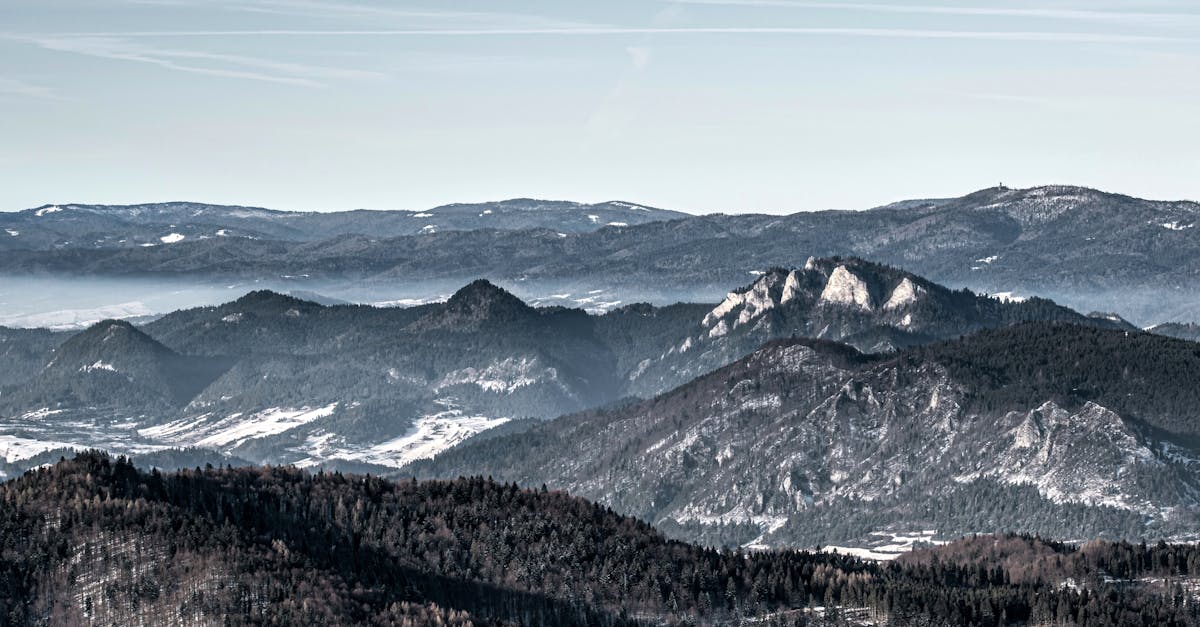 restez informé des dernières alertes climatiques et des changements environnementaux. découvrez comment ces alertes impactent notre planète et ce que vous pouvez faire pour contribuer à un avenir durable.