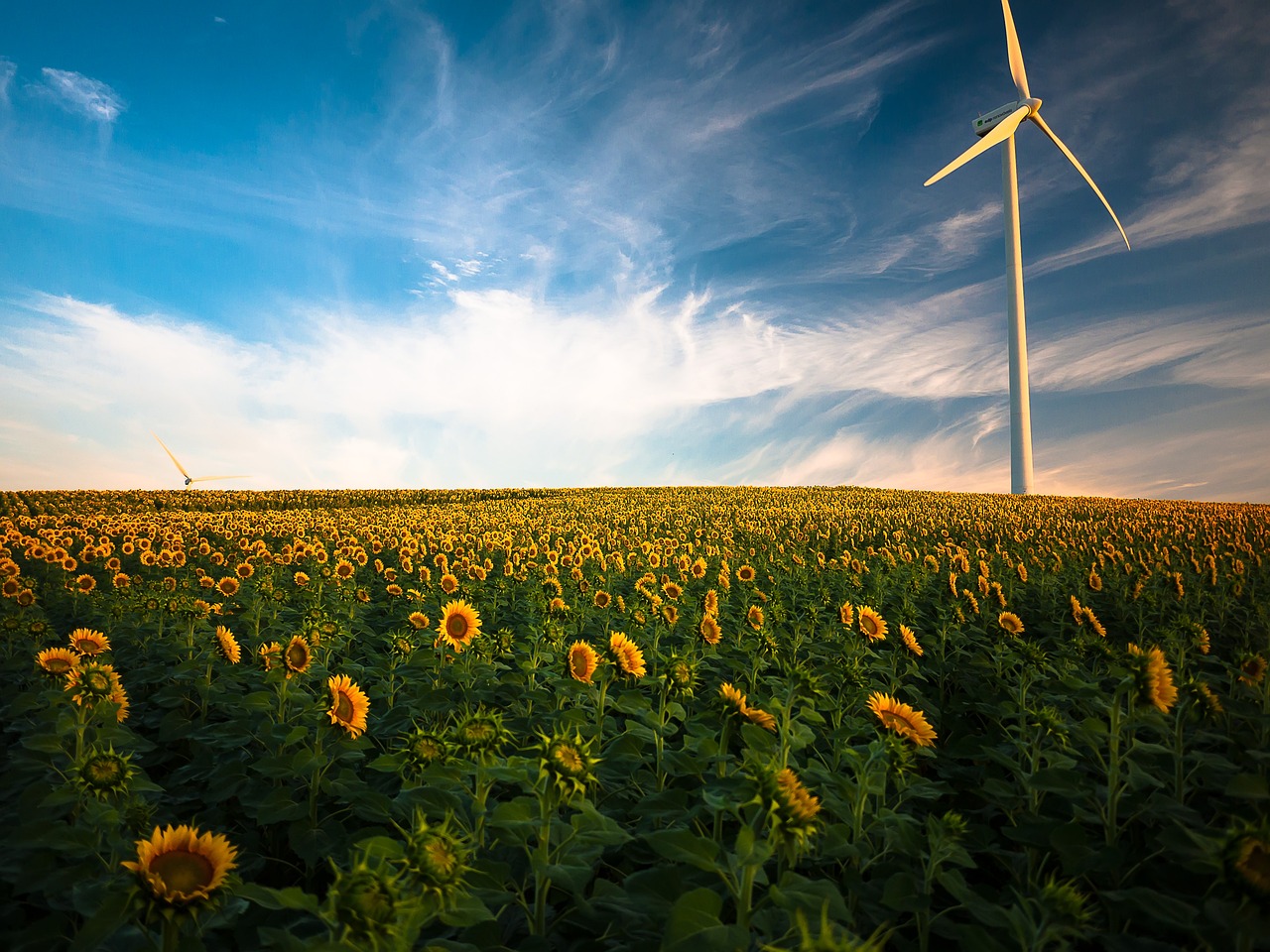 découvrez l'univers fascinant des éoliennes en mer, une solution d'énergie renouvelable innovante et durable. apprenez comment les turbines offshore transforment le paysage énergétique, réduisent les émissions de carbone et favorisent la transition vers une planète plus verte.