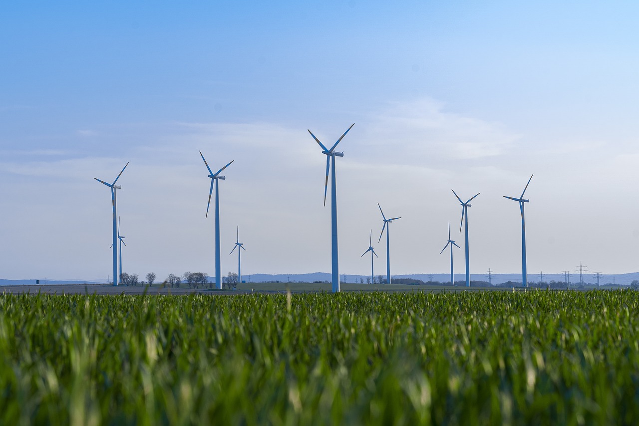 découvrez comment la durabilité façonne notre avenir, en intégrant des pratiques respectueuses de l'environnement dans nos choix quotidiens, pour un monde plus sain et équilibré.