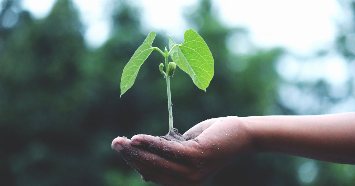 Mesures urgentes contre le changement climatique en 2025 post thumbnail image