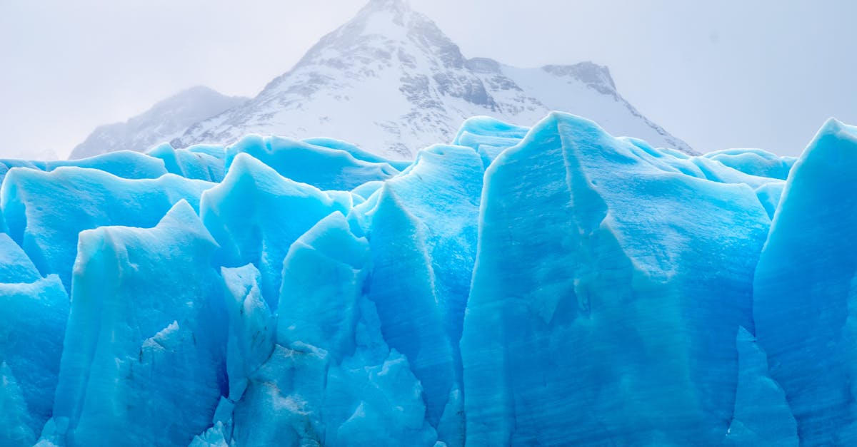 L’évolution des glaciers et son impact sur le niveau des mers post thumbnail image