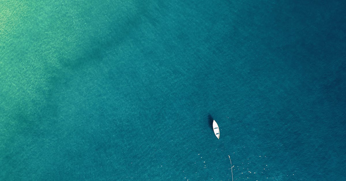 découvrez les merveilles de l'océan, un monde vaste et mystérieux regorgeant de vie marine, de paysages sous-marins époustouflants et d'aventures inoubliables. plongez dans l'exploration des écosystèmes marins et la protection de nos océans.