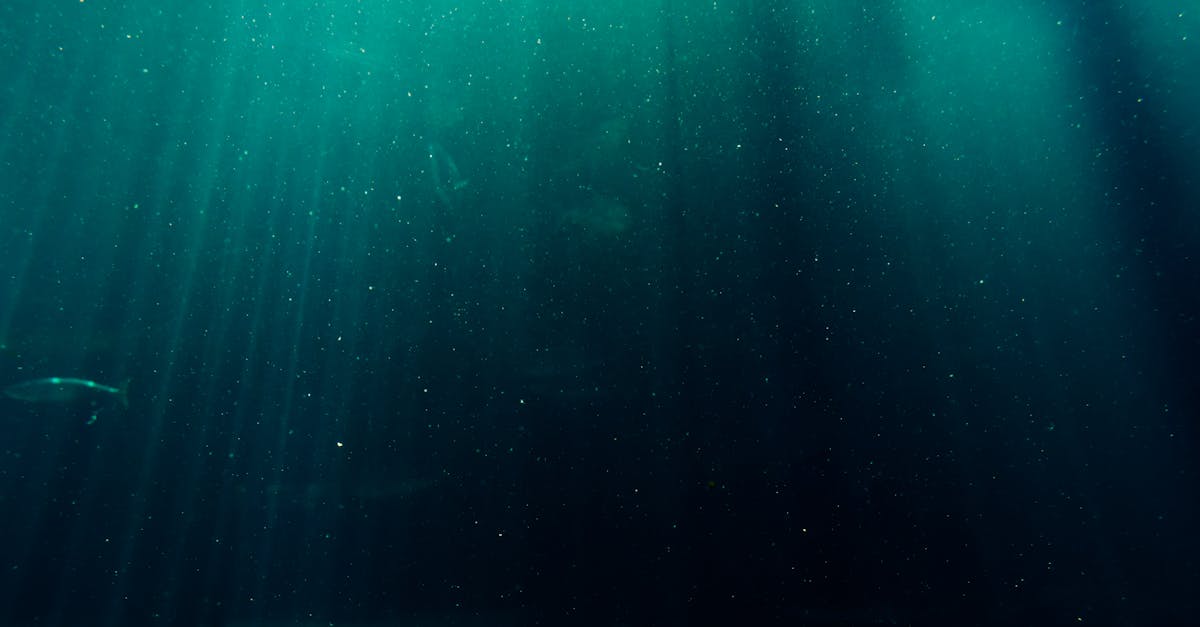 La mer en danger : conséquences du changement climatique post thumbnail image