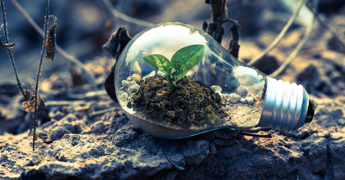 découvrez le potentiel de l'énergie renouvelable pour un avenir durable. explorez les différentes sources d'énergie verte, leur impact sur l'environnement et les innovations qui transforment notre manière de consommer. engagez-vous pour une planète plus propre et des solutions énergétiques durables.